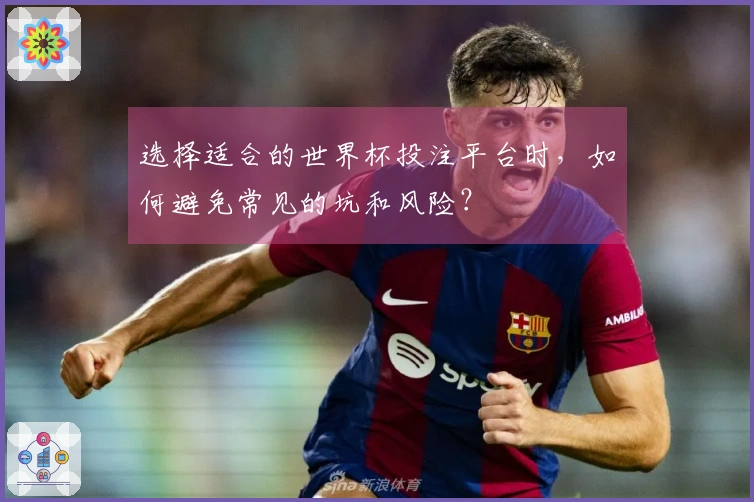 选择适合的世界杯投注平台时，如何避免常见的坑和风险？