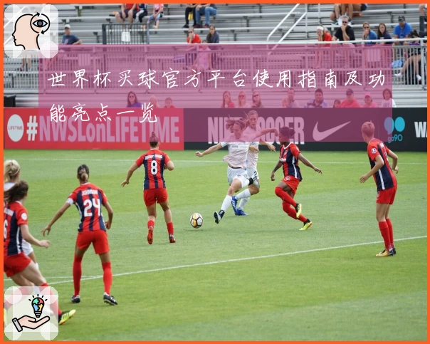世界杯买球官方平台使用指南及功能亮点一览