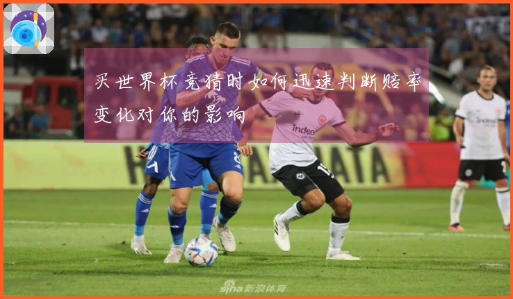 买世界杯竞猜时如何迅速判断赔率变化对你的影响