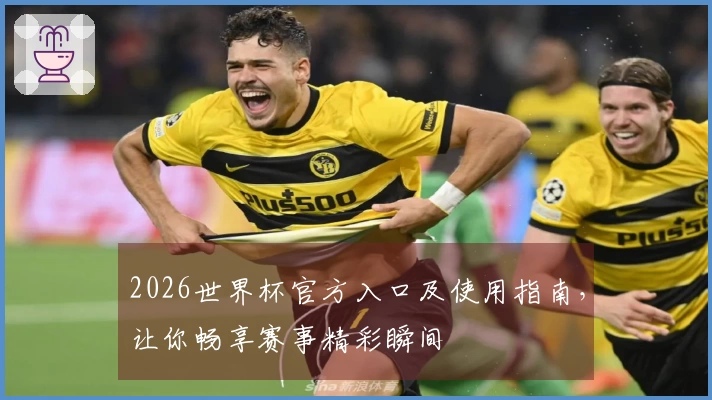2026世界杯官方入口及使用指南，让你畅享赛事精彩瞬间