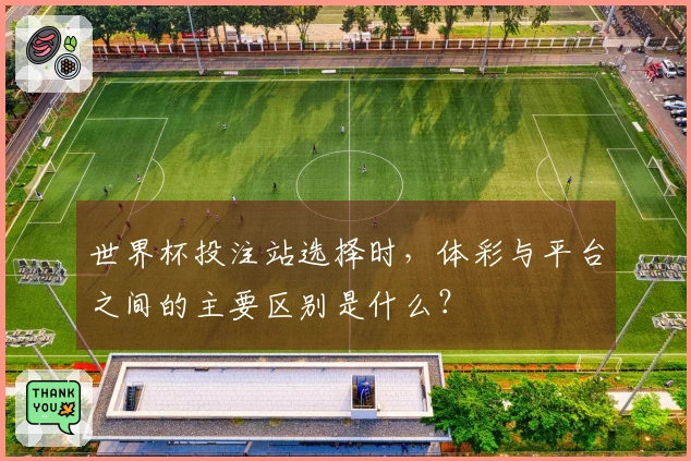 世界杯投注站选择时，体彩与平台之间的主要区别是什么？