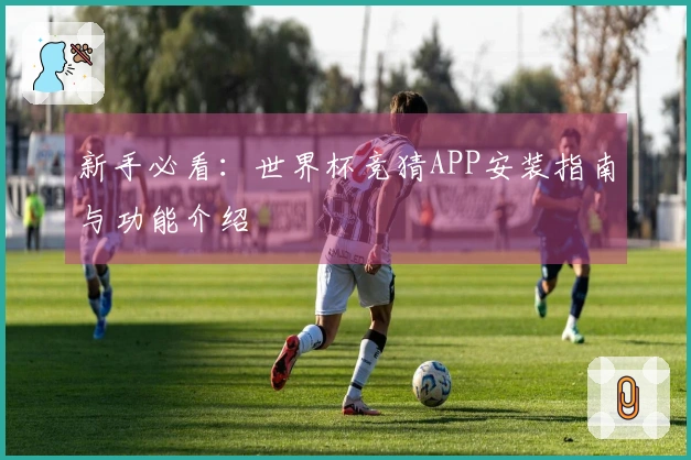 新手必看:世界杯竞猜APP安装指南与功能介绍
