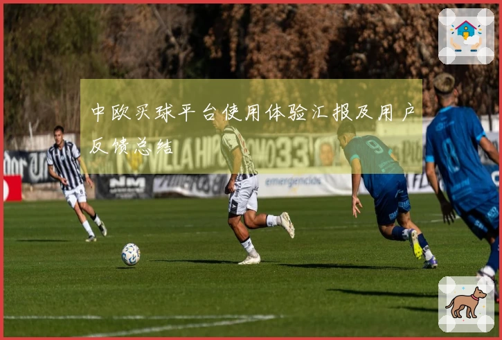 中欧买球平台使用体验汇报及用户反馈总结