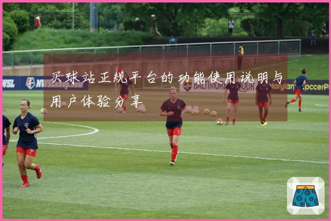 买球站正规平台的功能使用说明与用户体验分享