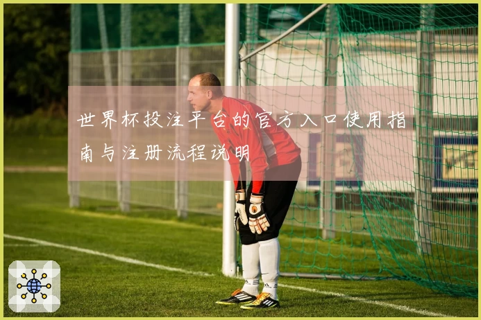 世界杯投注平台的官方入口使用指南与注册流程说明