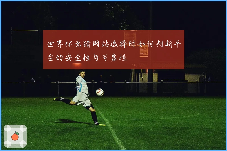 世界杯竞猜网站选择时如何判断平台的安全性与可靠性