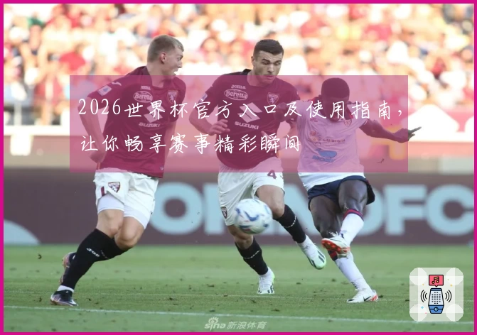 2026世界杯官方入口及使用指南，让你畅享赛事精彩瞬间