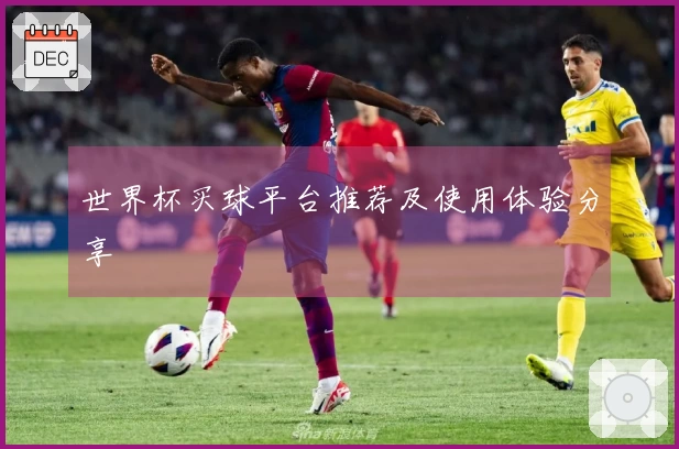 世界杯买球平台推荐及使用体验分享