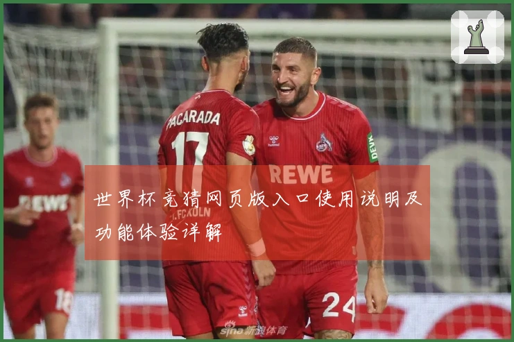 世界杯竞猜网页版入口使用说明及功能体验详解