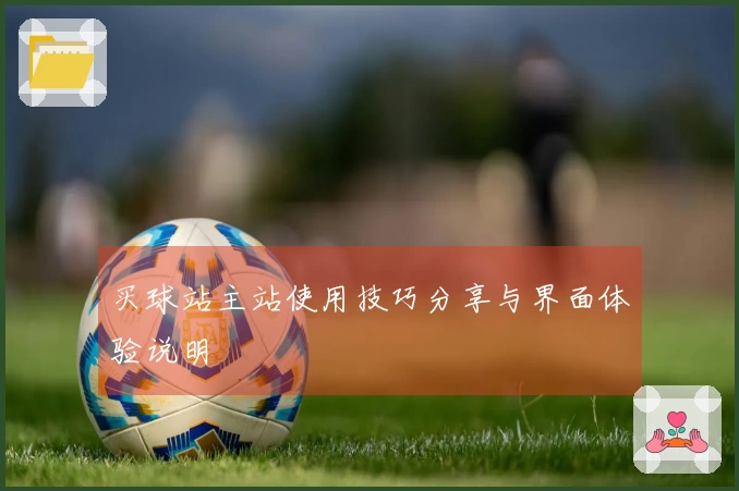 买球站主站使用技巧分享与界面体验说明