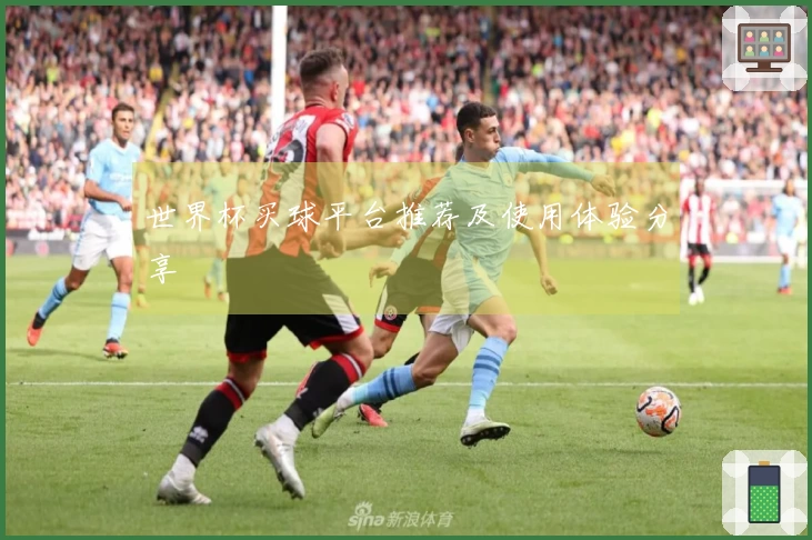 世界杯买球平台推荐及使用体验分享