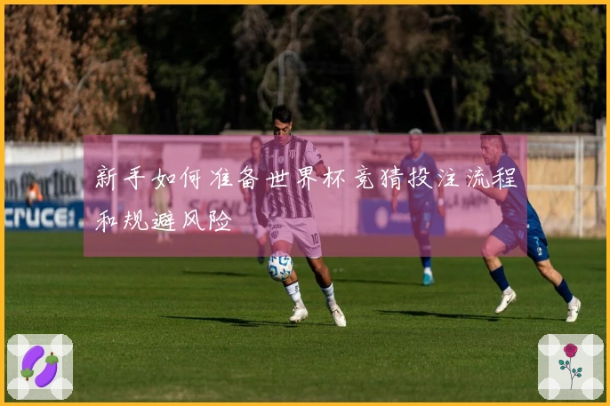 新手如何准备世界杯竞猜投注流程和规避风险