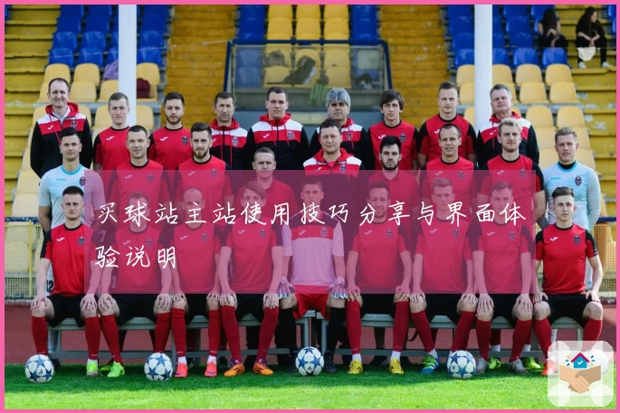 买球站主站使用技巧分享与界面体验说明