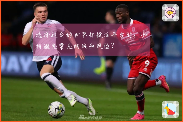 选择适合的世界杯投注平台时，如何避免常见的坑和风险？
